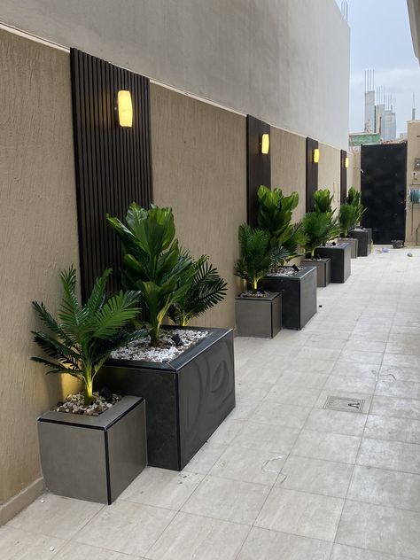 تنسيق حدائق طبيعي في جدة باستخدام نباتات تتحمل الرطوبة والحرارة