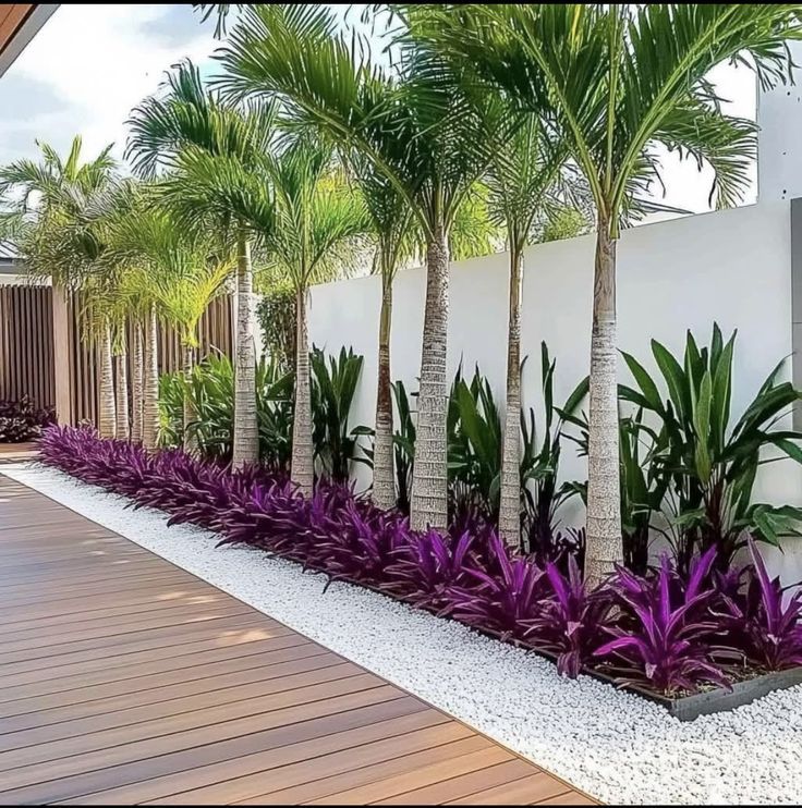 النخيل والجهنمية في تصميم حدائق طبيعية جذابة